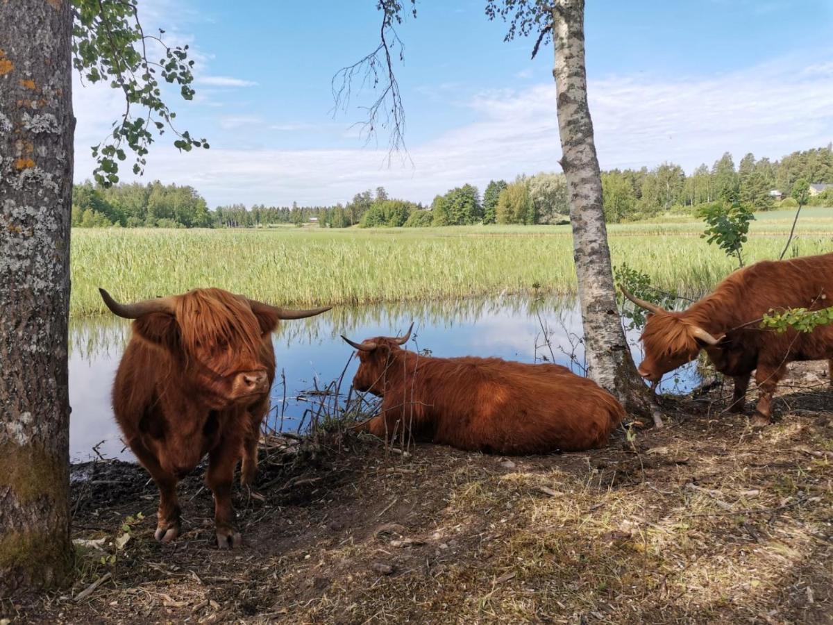 Isotalo Farm At Enaejaervi Lake Salo  Luaran gambar